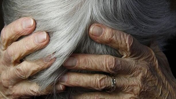 New best parada wave