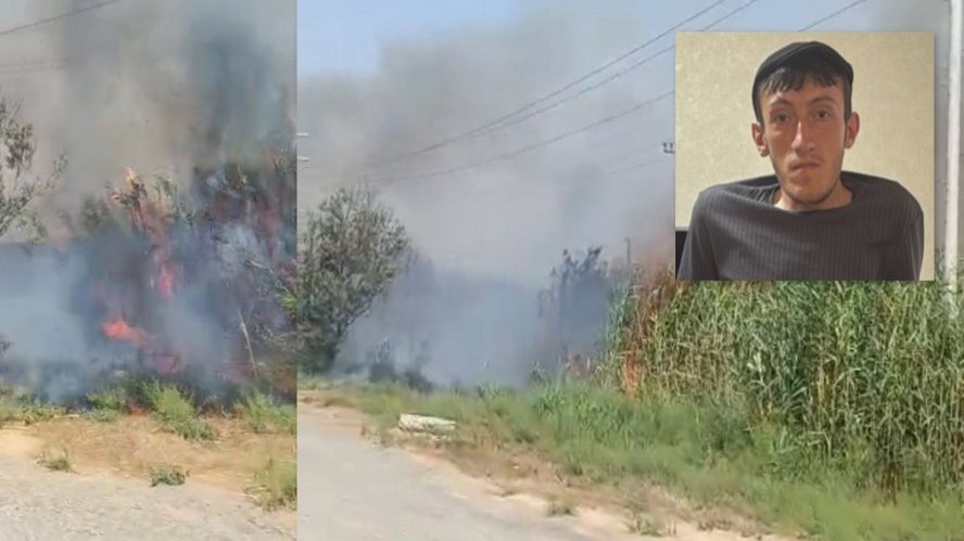 New best parada wave