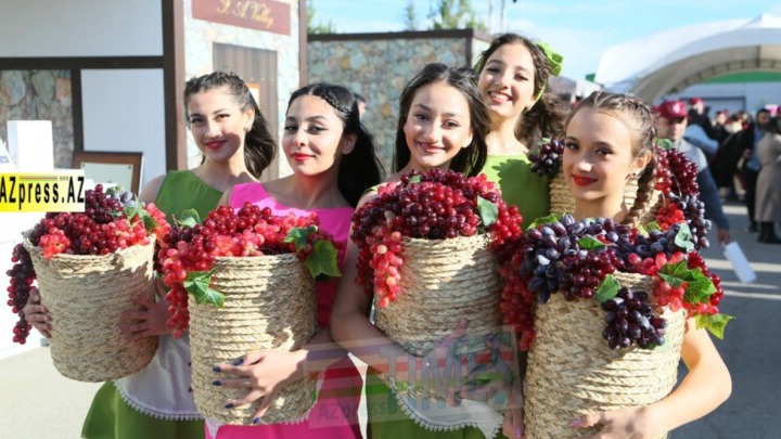 New best parada wave