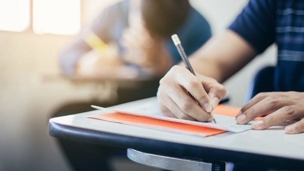 New best parada wave