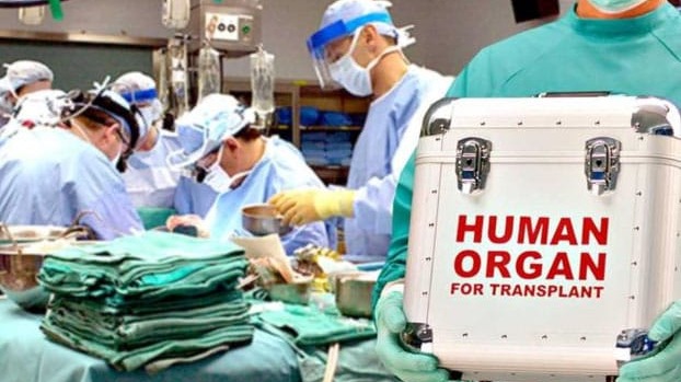 New best parada wave