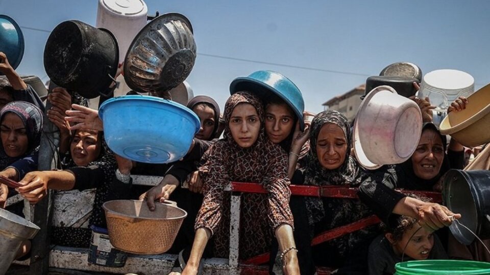 New best parada wave