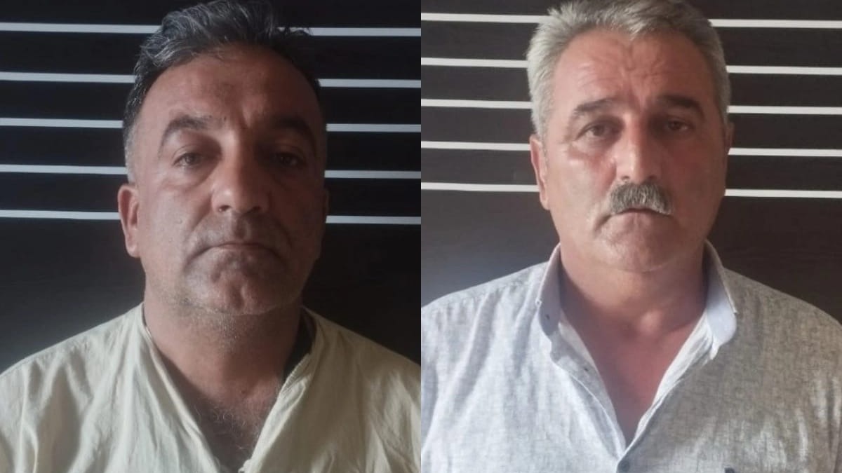 New best parada wave