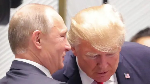 New best parada wave