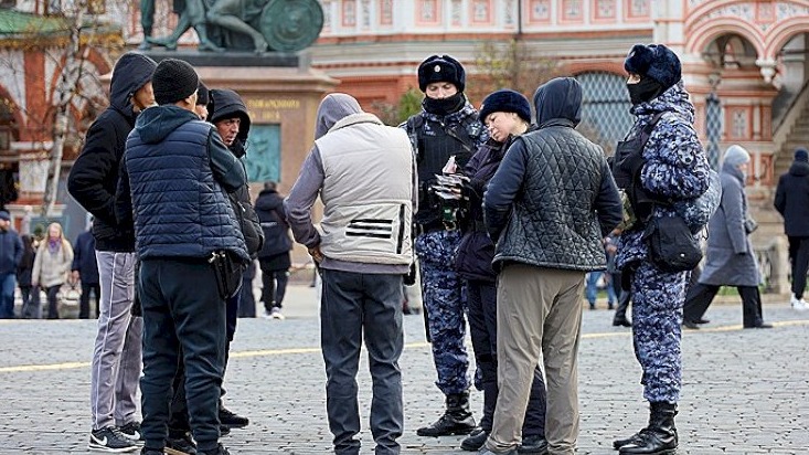 New best parada wave