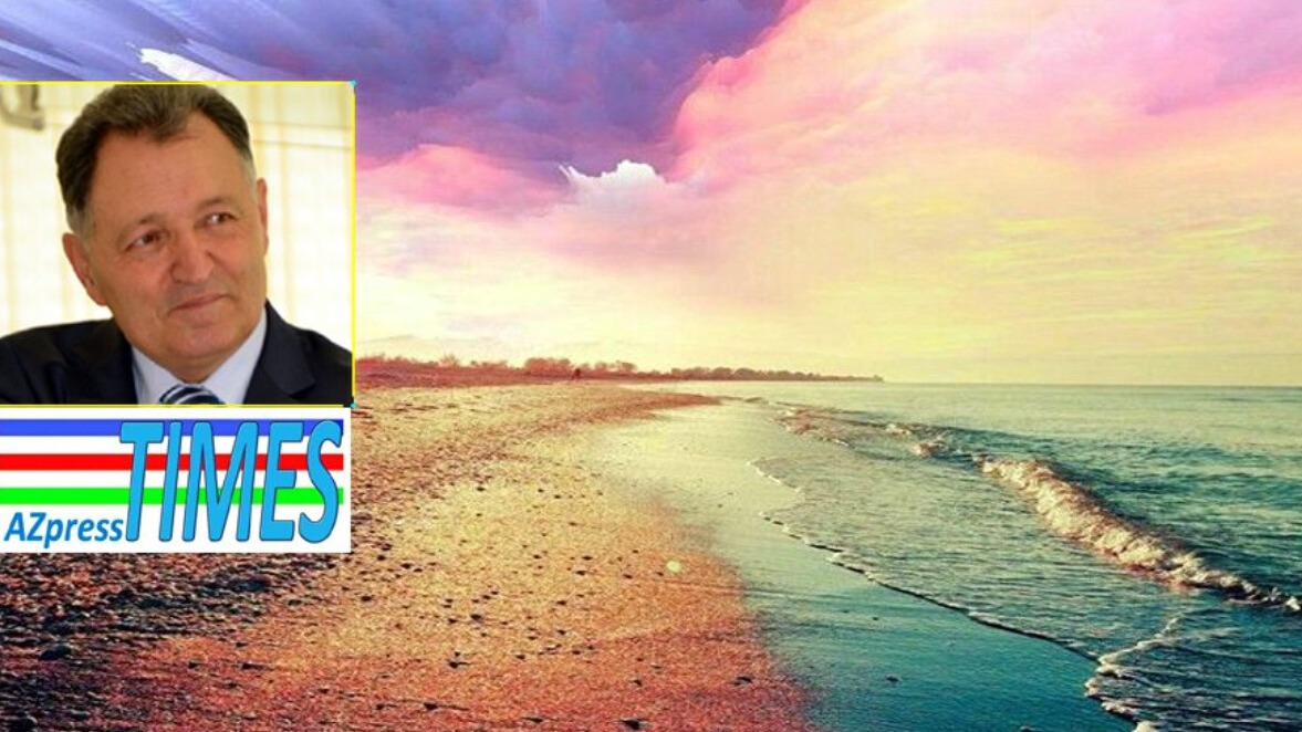 New best parada wave