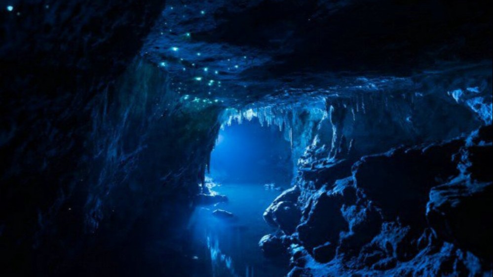 New best parada wave