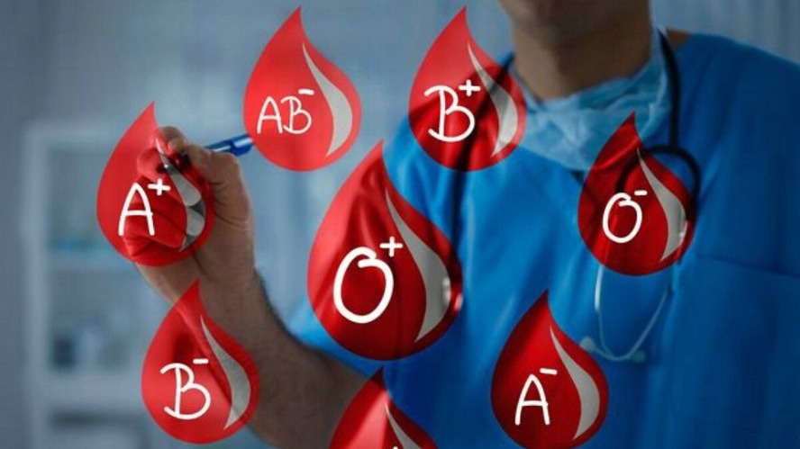 New best parada wave