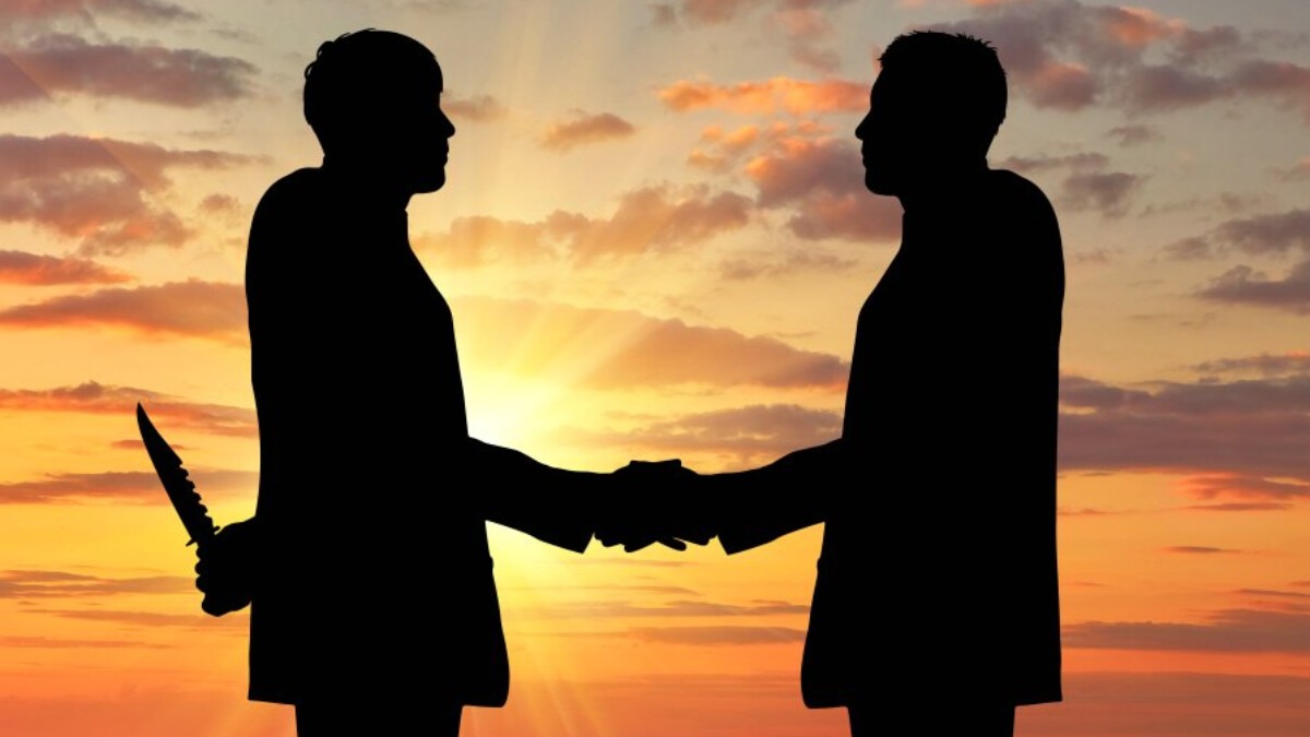 New best parada wave