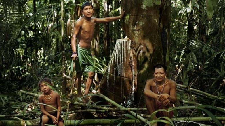 New best parada wave