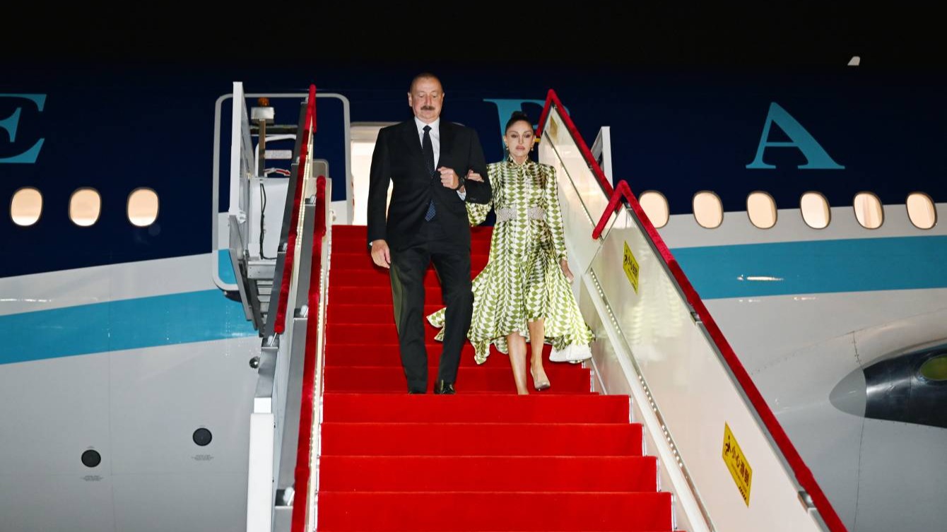 New best parada wave