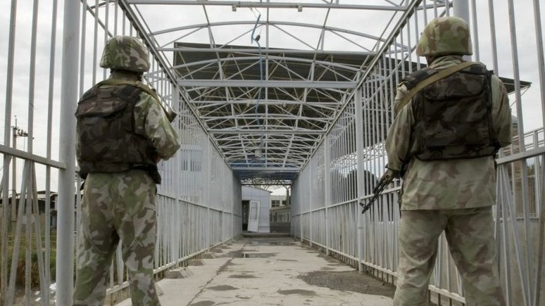 New best parada wave