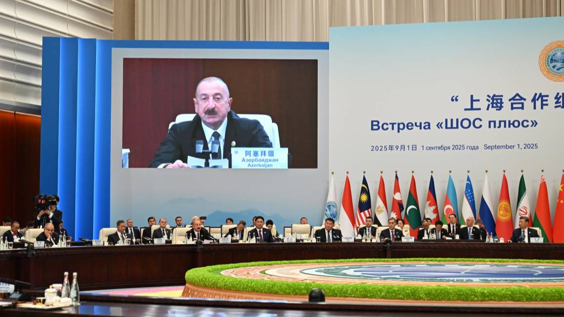 New best parada wave