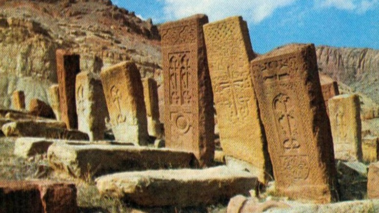 New best parada wave