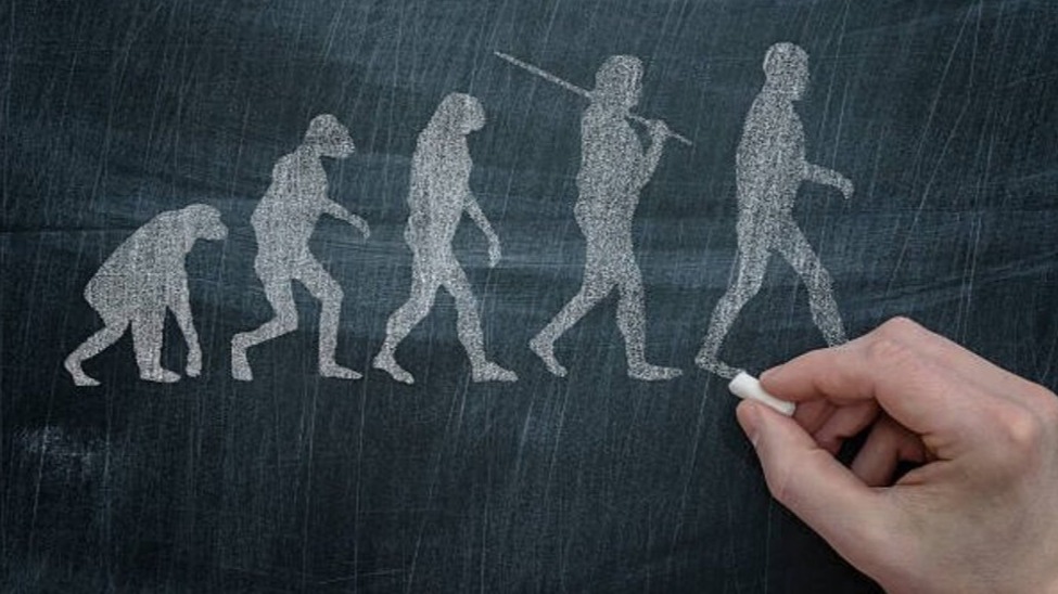 New best parada wave