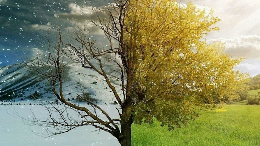 New best parada wave