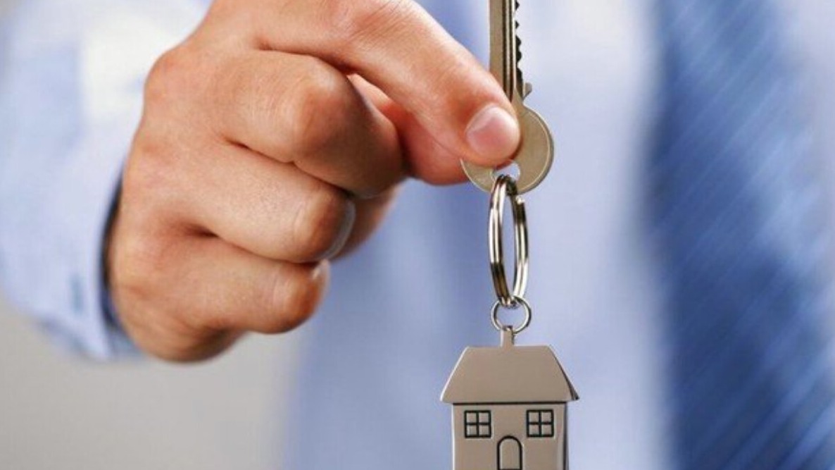 New best parada wave