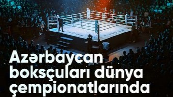 New best parada wave