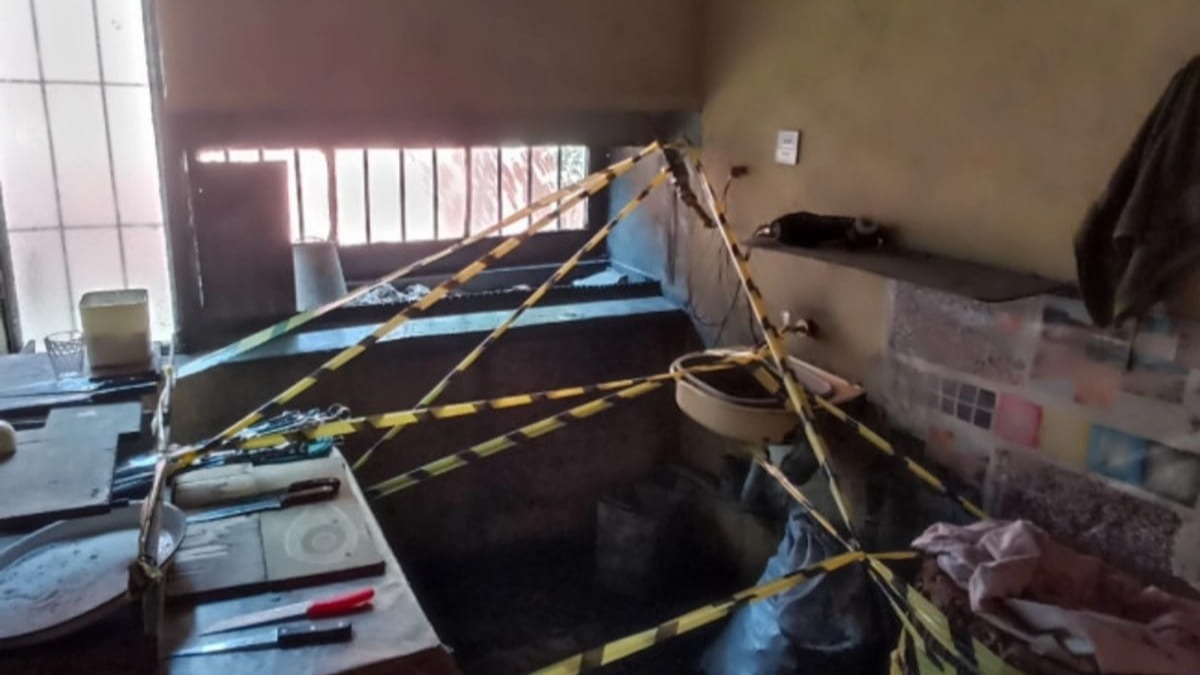 New best parada wave