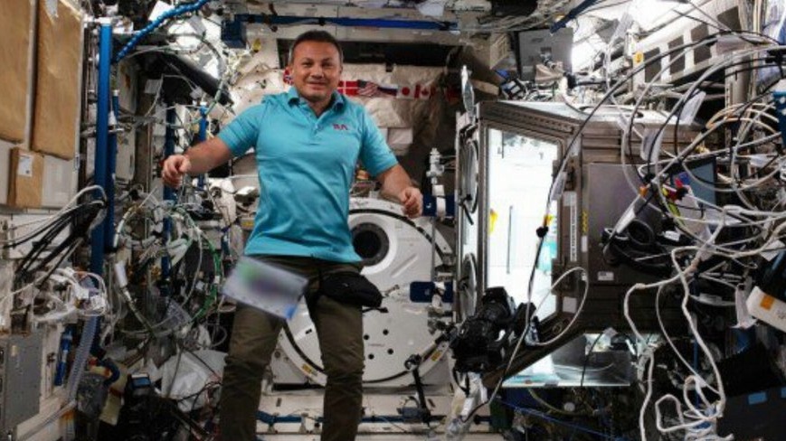 New best parada wave