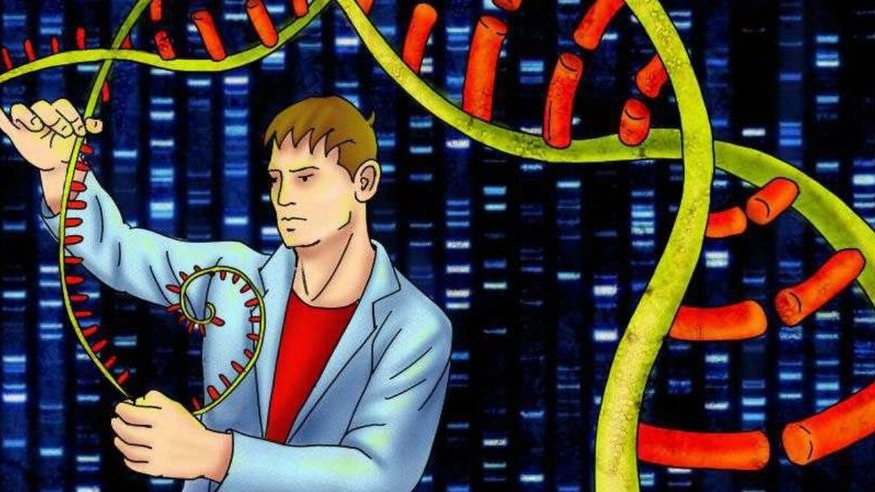 New best parada wave