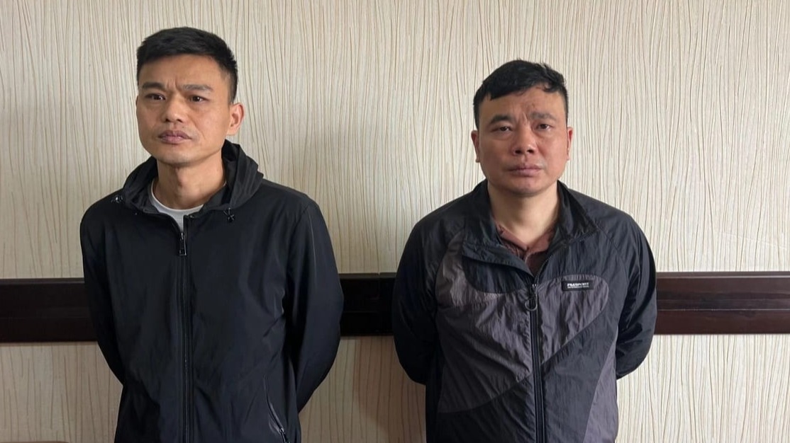 New best parada wave