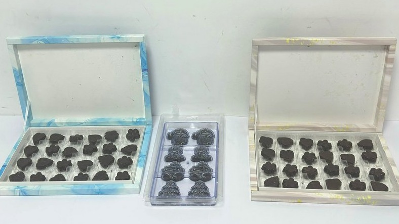 New best parada wave