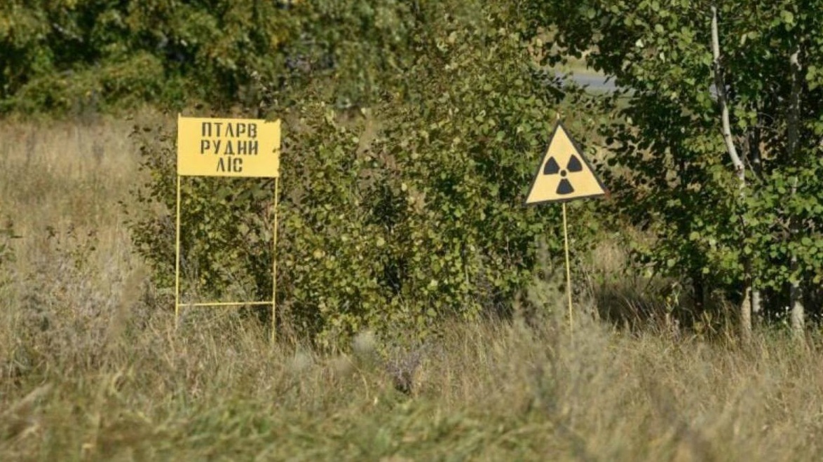 New best parada wave