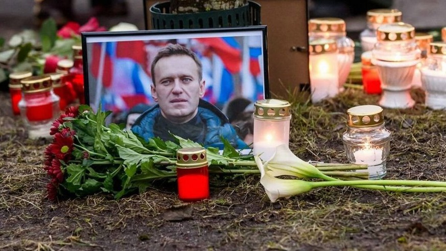 New best parada wave