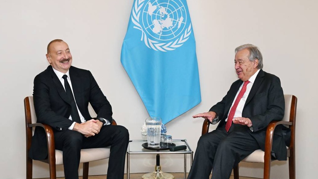 New best parada wave