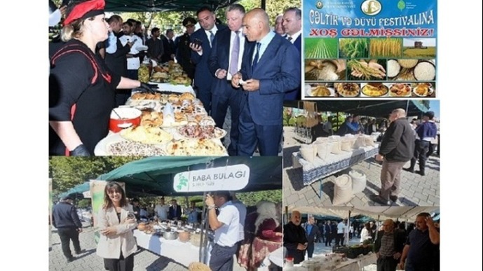 New best parada wave