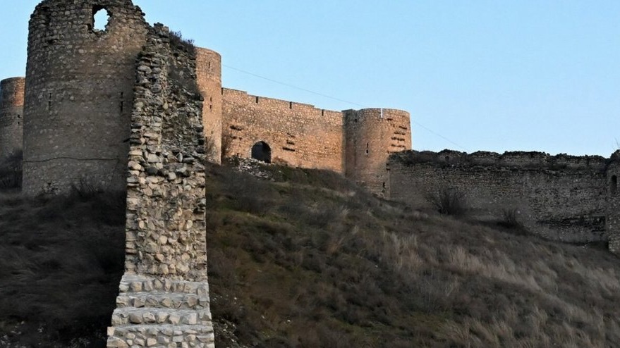 New best parada wave