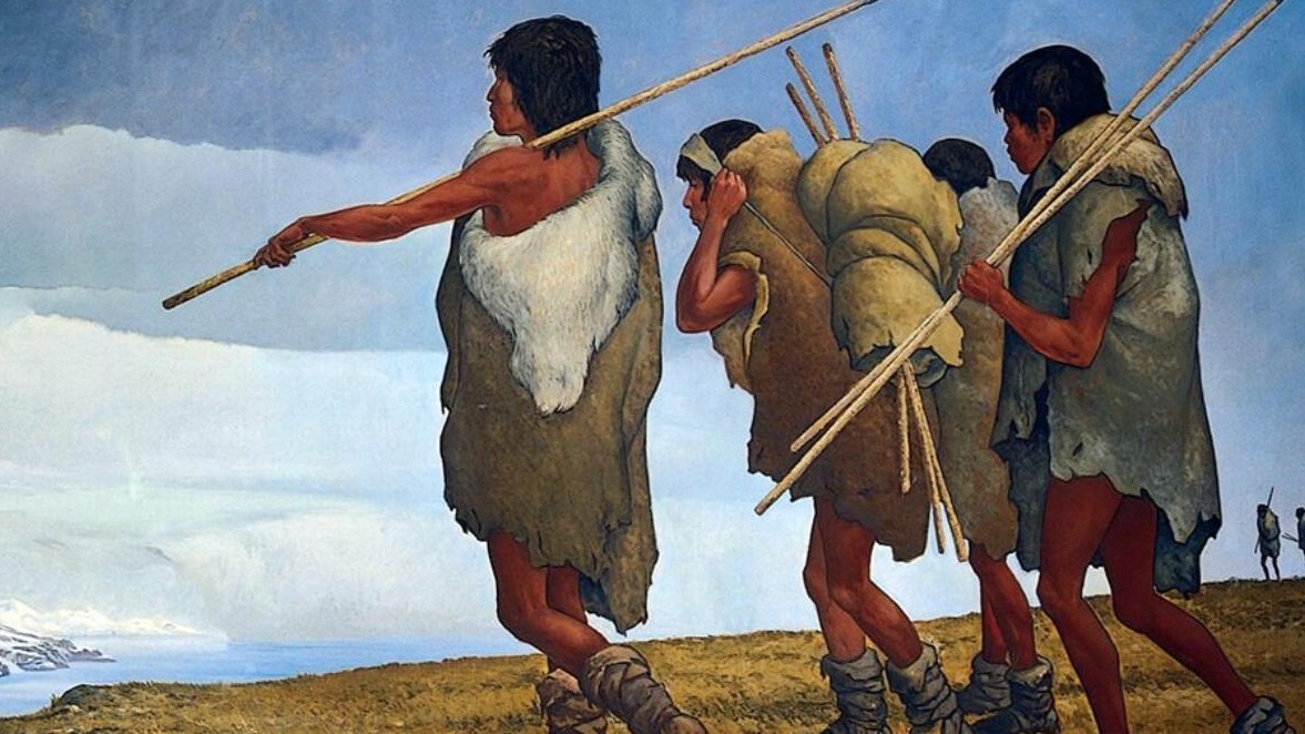 New best parada wave