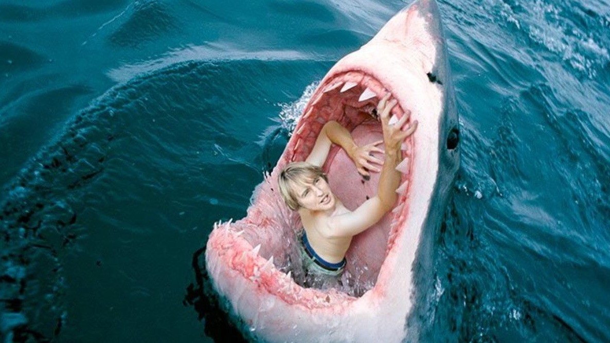 New best parada wave