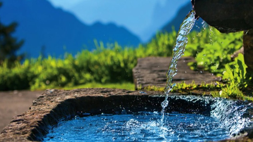 New best parada wave