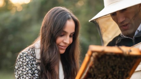 New best parada wave