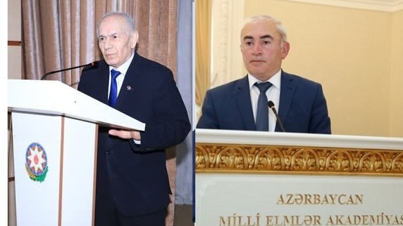 New best parada wave