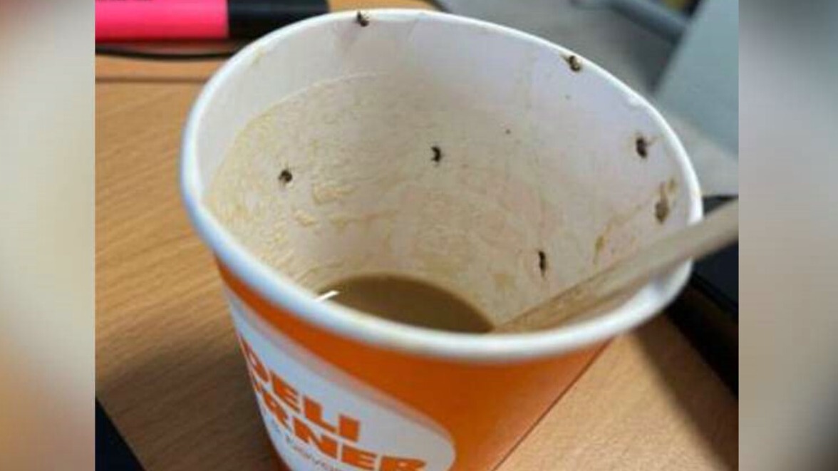 New best parada wave