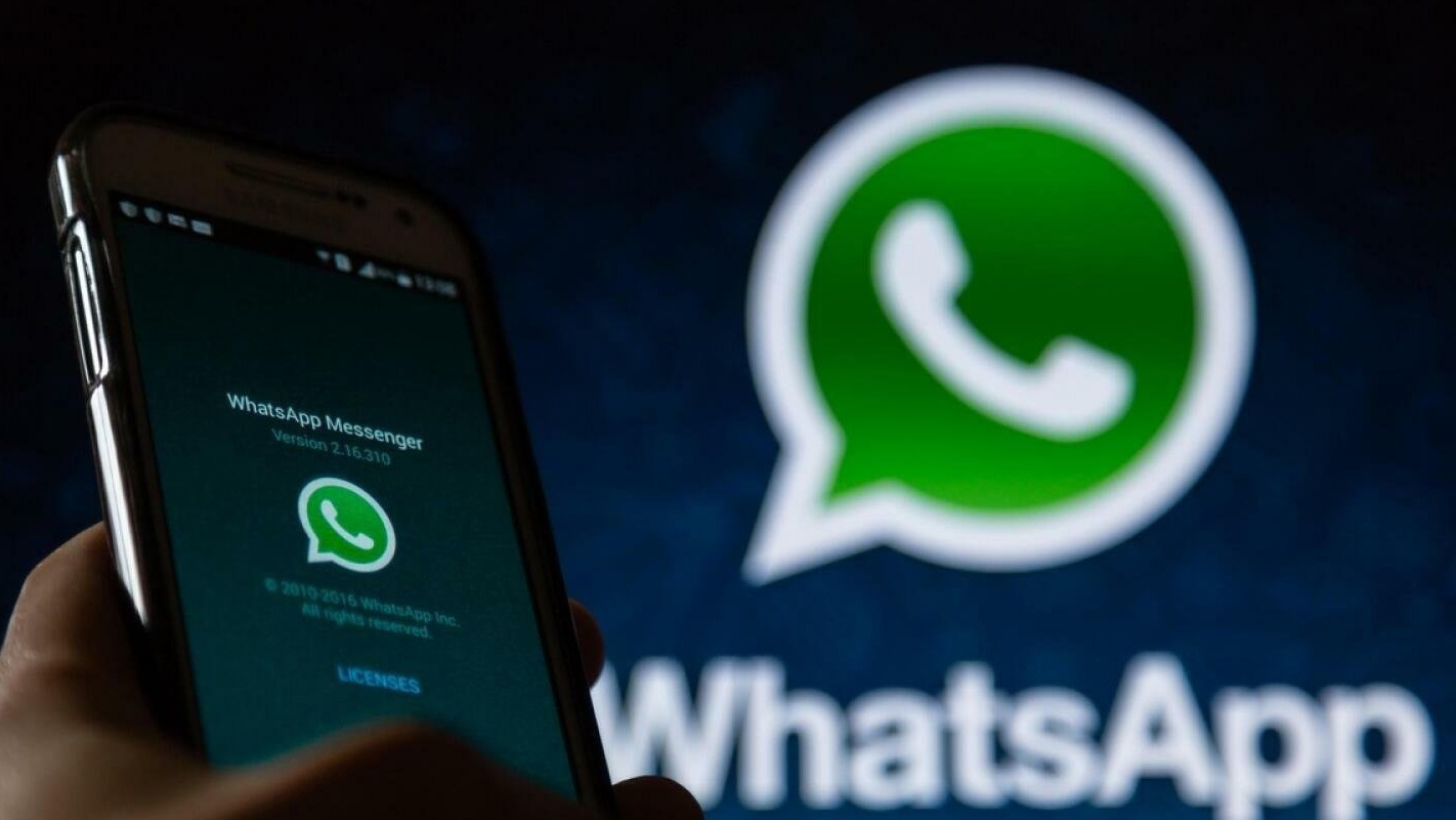 New best parada wave