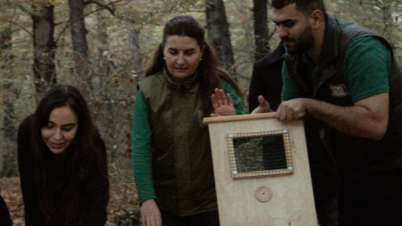 New best parada wave