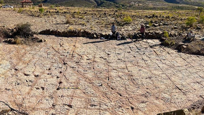 New best parada wave