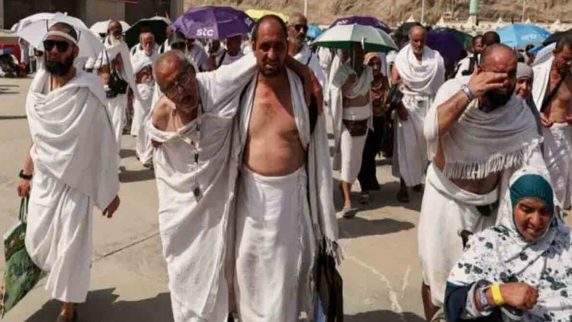 New best parada wave