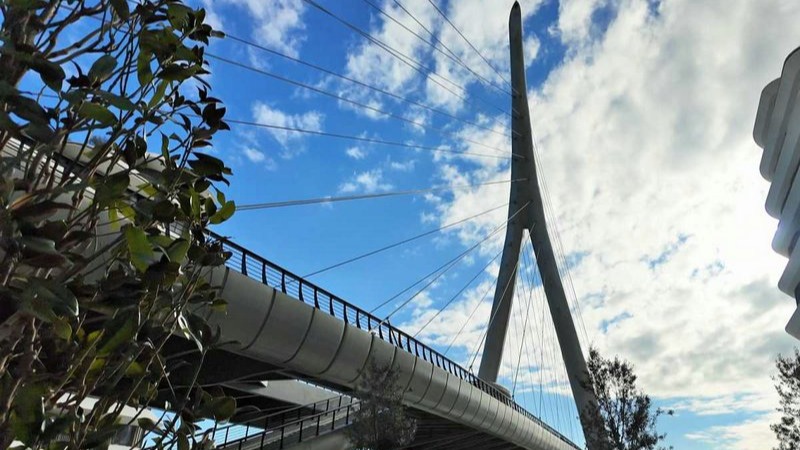 New best parada wave