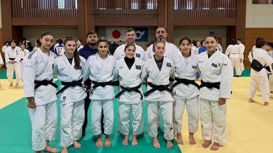 New best parada wave