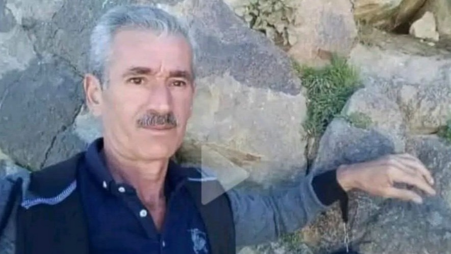 New best parada wave