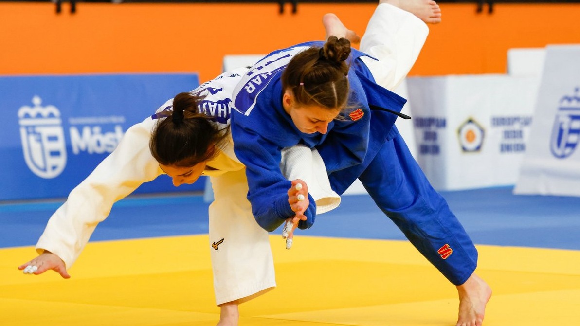 New best parada wave