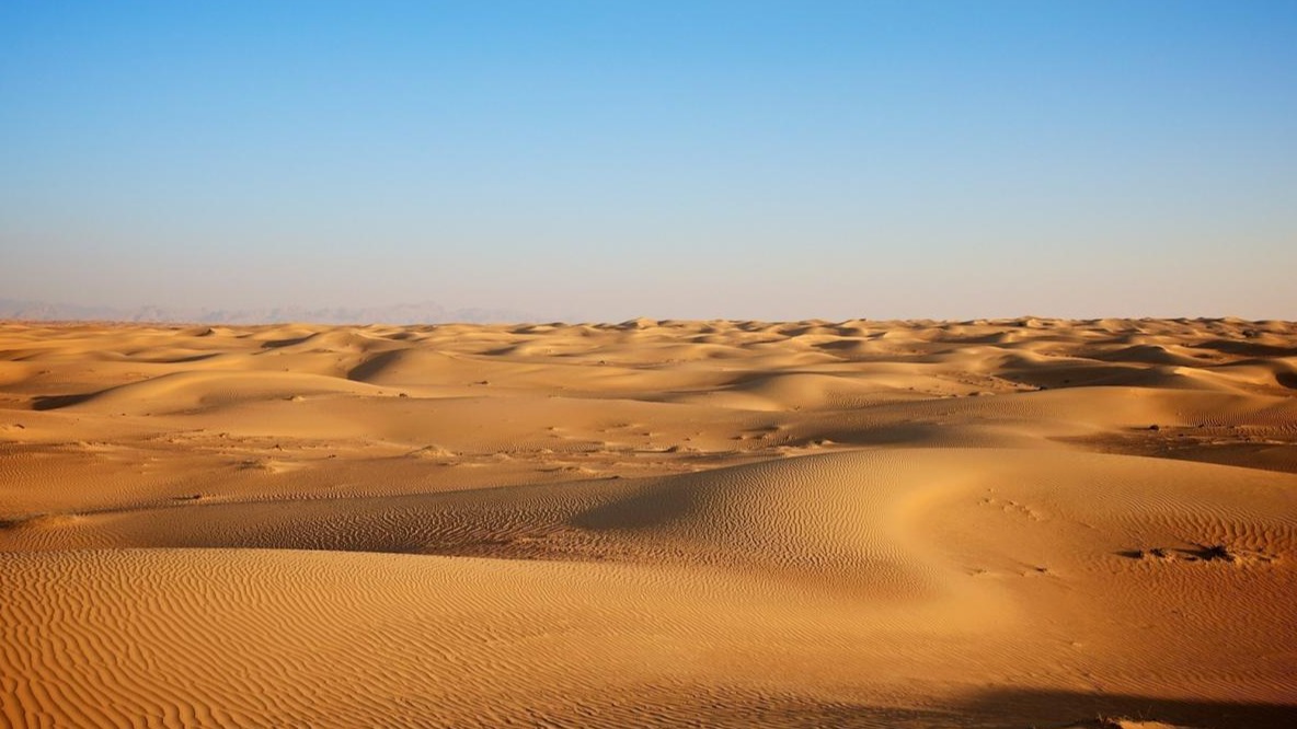 New best parada wave