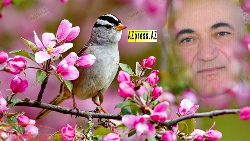 New best parada wave