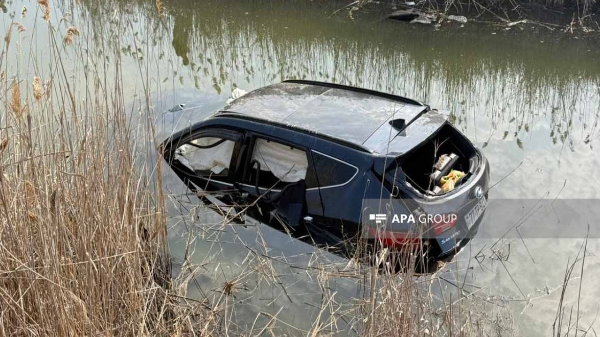 New best parada wave