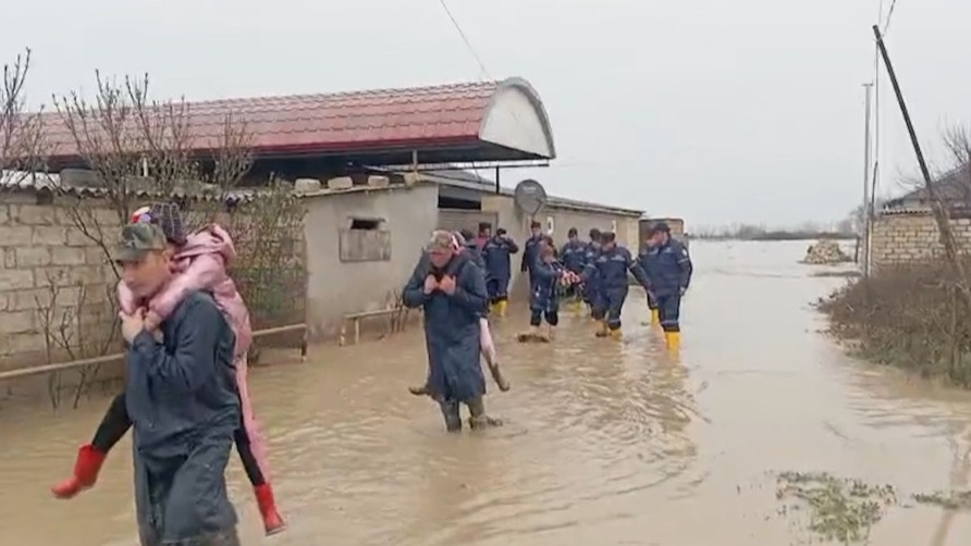 New best parada wave